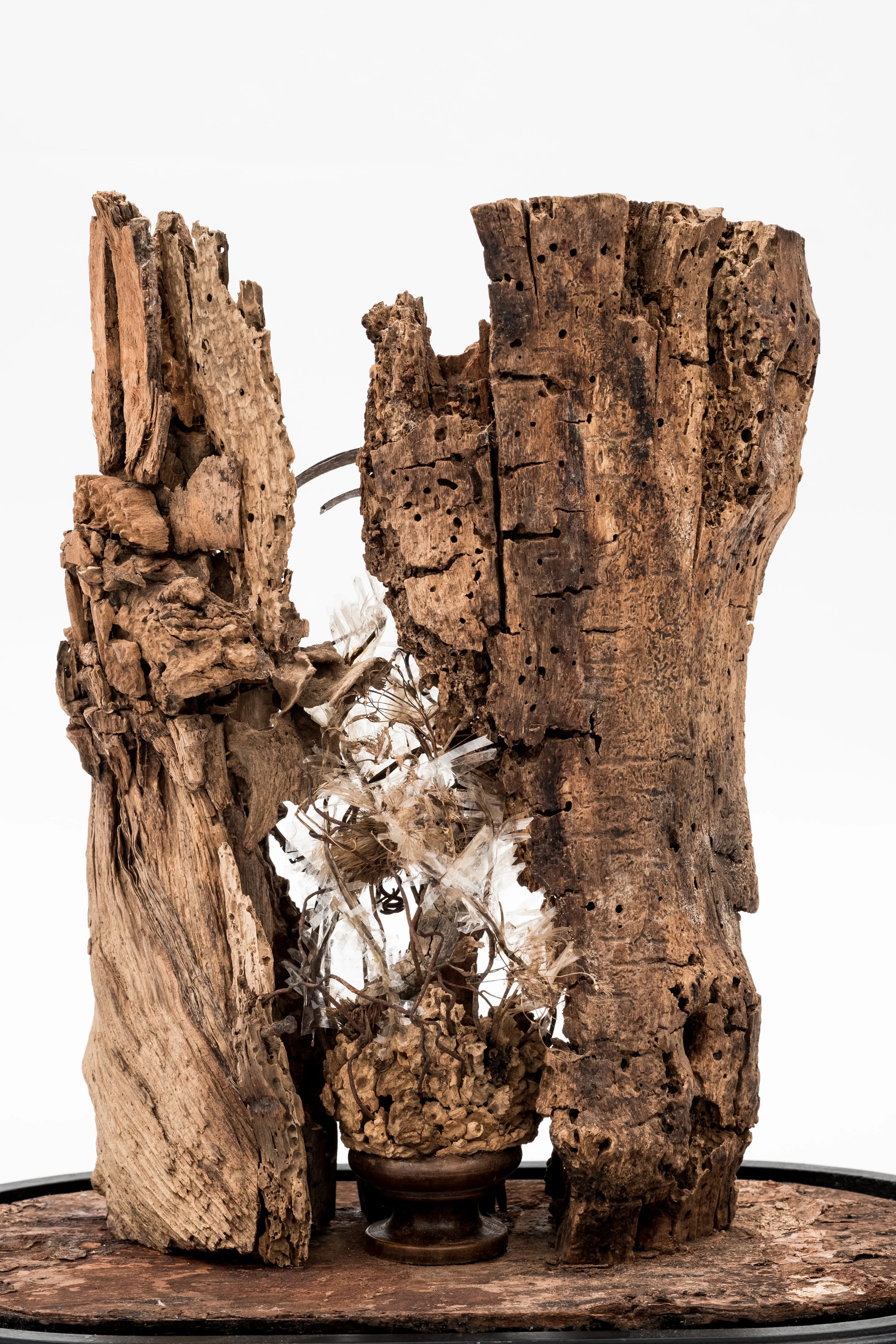 Globe Canyon Marie Subirana