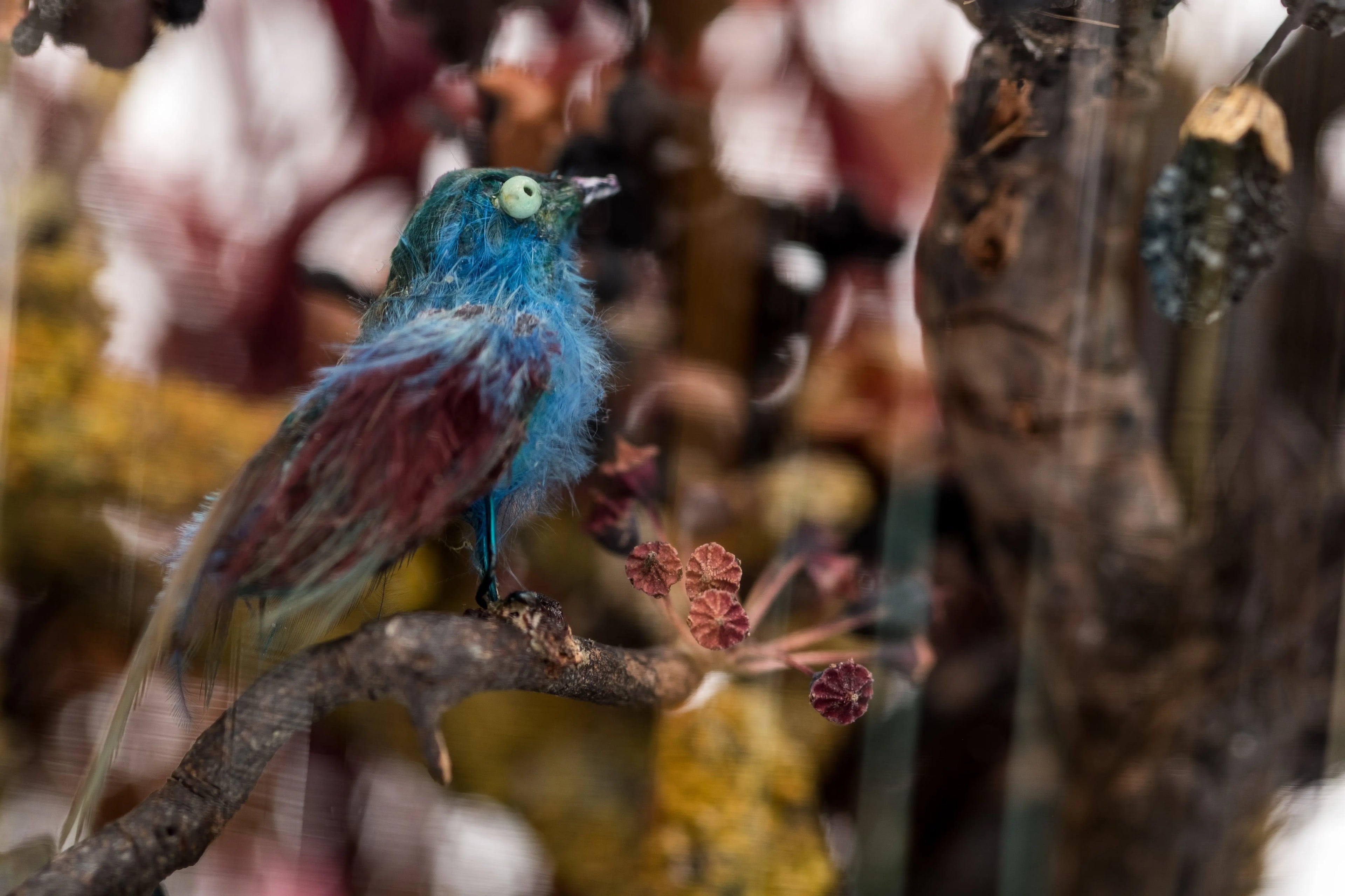 Globe Forest Marie Subirana