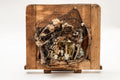 Sculpture sur bois "Fillet" Marie Subirana